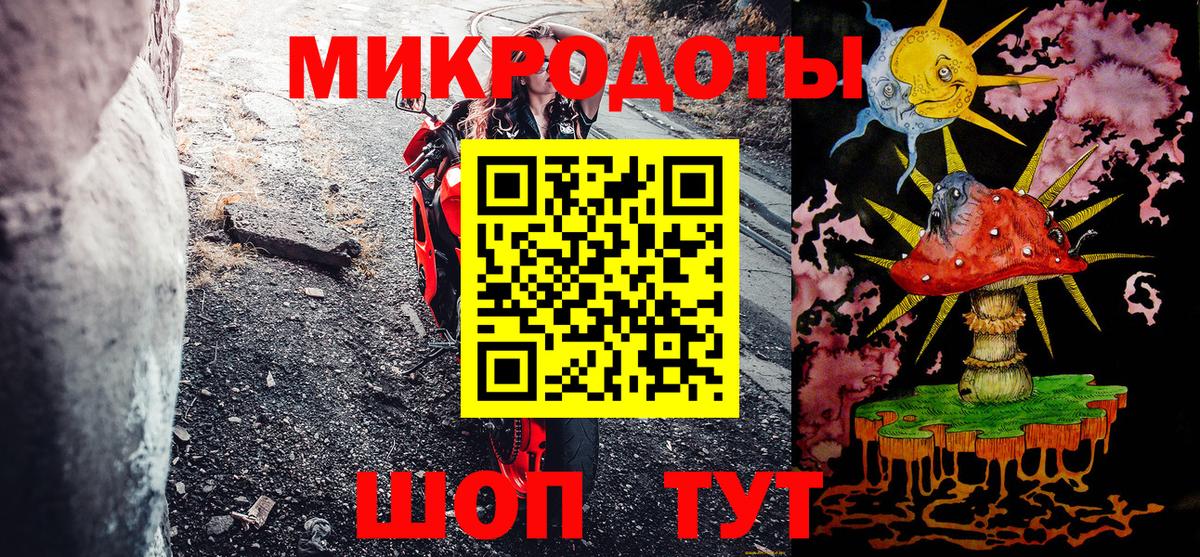 Галлюциногенные грибы Psilocybe Феодосия