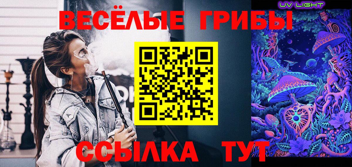 Псилоцибиновые грибы Psilocybine cubensis  Вход с VPN  Феодосия 